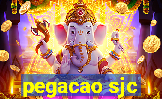 pegacao sjc